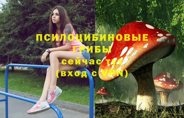 эйфоретик Белоозёрский