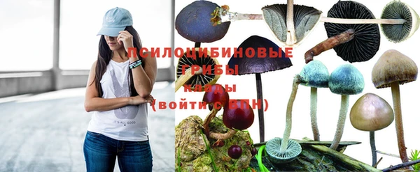 МДМА Беломорск