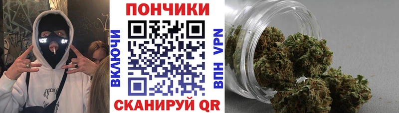 наркота  Выборг  МАРИХУАНА сатива 